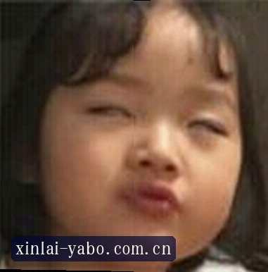 郑涛