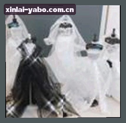 陈杰